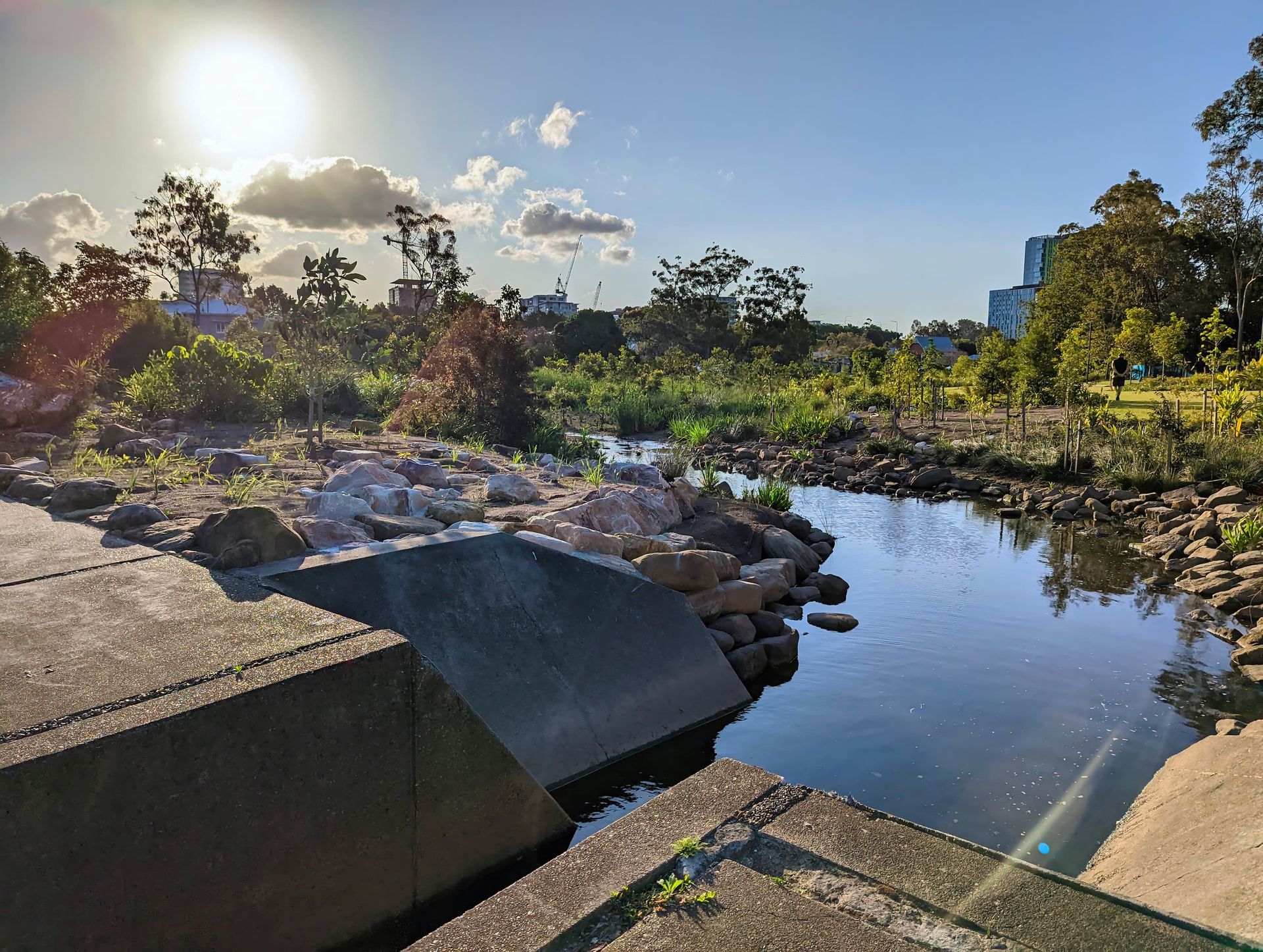 A concrete drain empties into a freshly planted creek system, with rocks, vegetation and grasslands