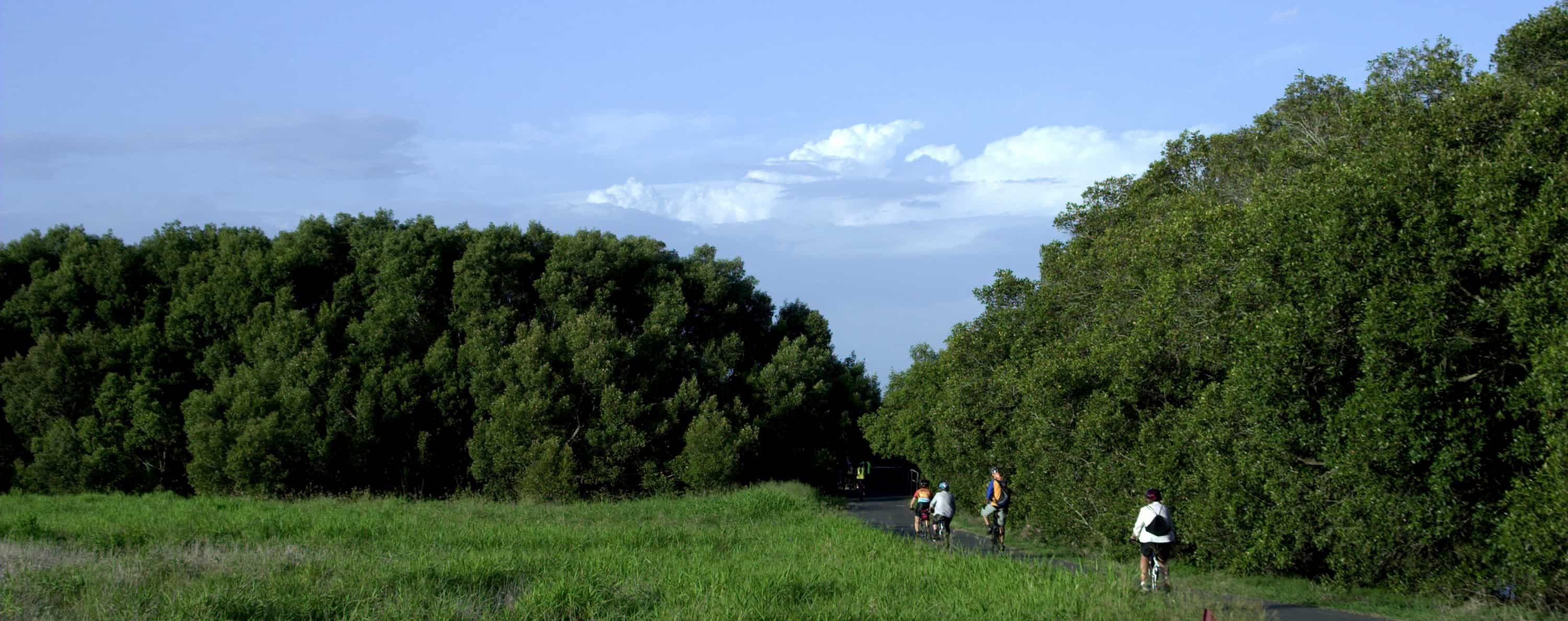People riding past a grassy field along the Jim Soorley Bikeway and off into the distance past some trees.