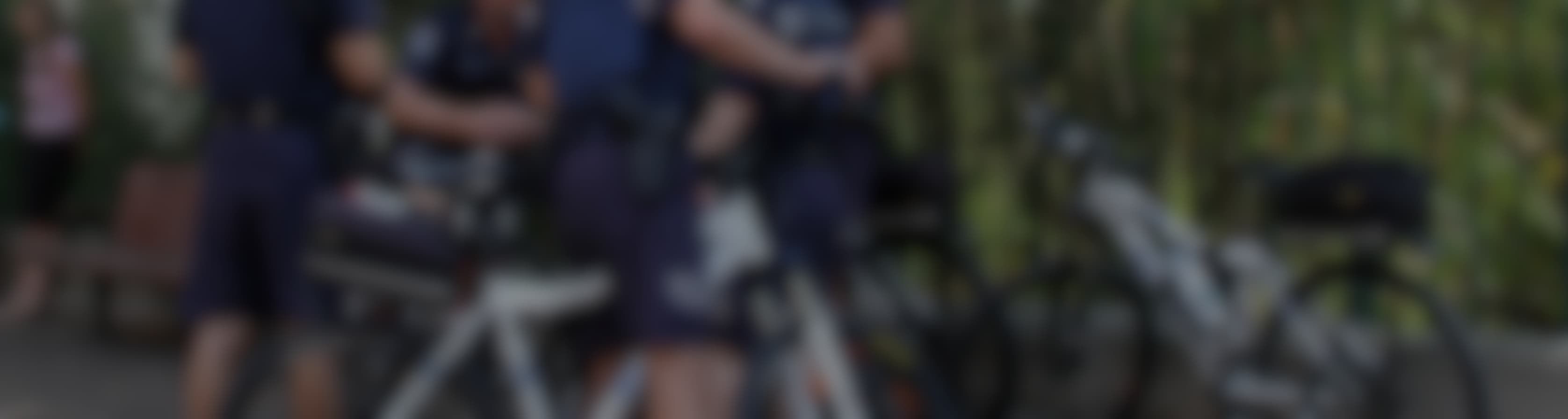 Police on bikes outside the Gardens Point botanical gardens