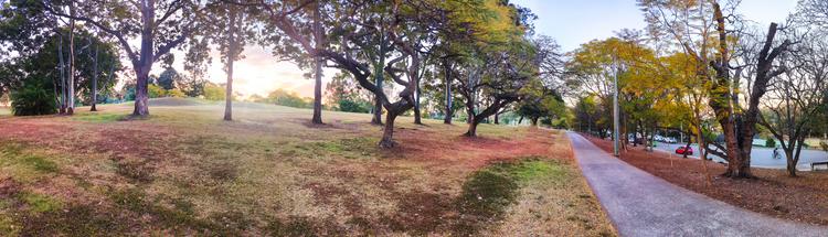 A bikeway extends into the distance as the sun sets over the autumn leaves.