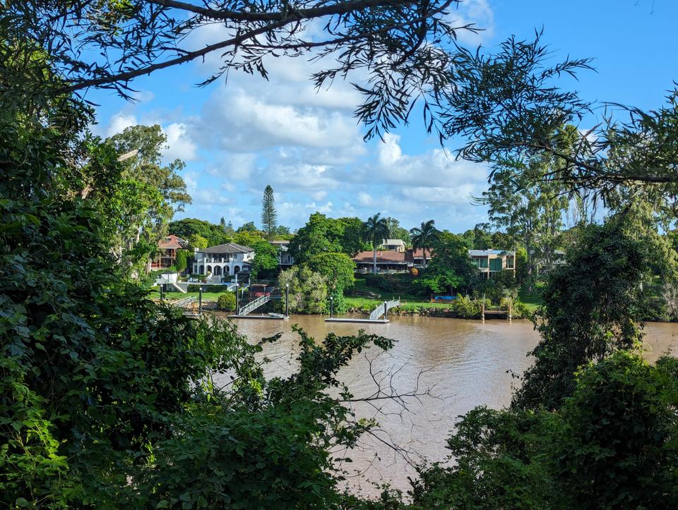 Looking through the trees at the mansions across the river