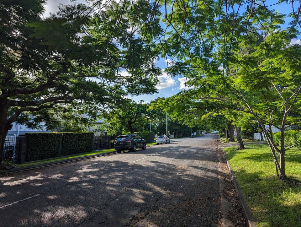 A lush shaded street with no footpath or shoulder, but it's very quiet