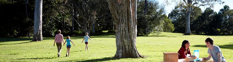 People picnicking in Kalinga Park, along the Kedron Brook bikeway.