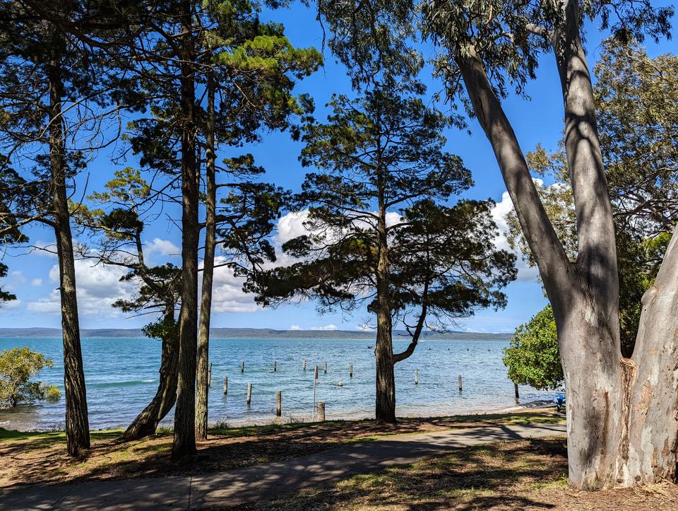 Shady trees on the shoreline in front of a beach with a protective net.