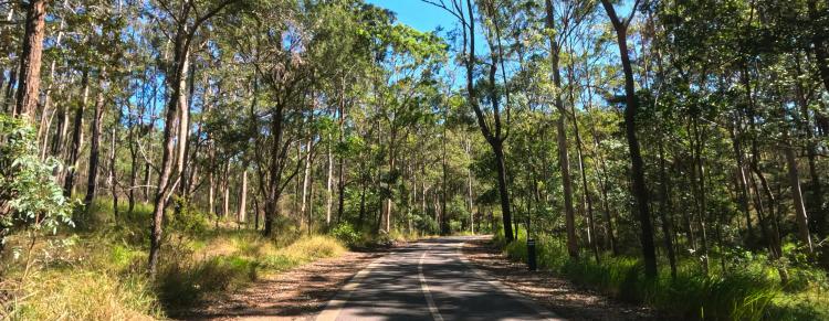 A bike path stretches off into the Australian bushland
