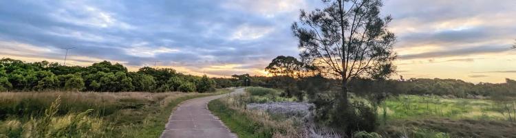 Boondall wetlands at sunset - the sky is orange and the wetlands are calm serene. An old bike path snakes off into the distance.