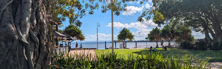 A shady foreshore park on Bribie Island. A huge fig tree frames a path along the calm blue waters of Pumicestone Passage, with pandanus palms and people walking and sitting on the grass.